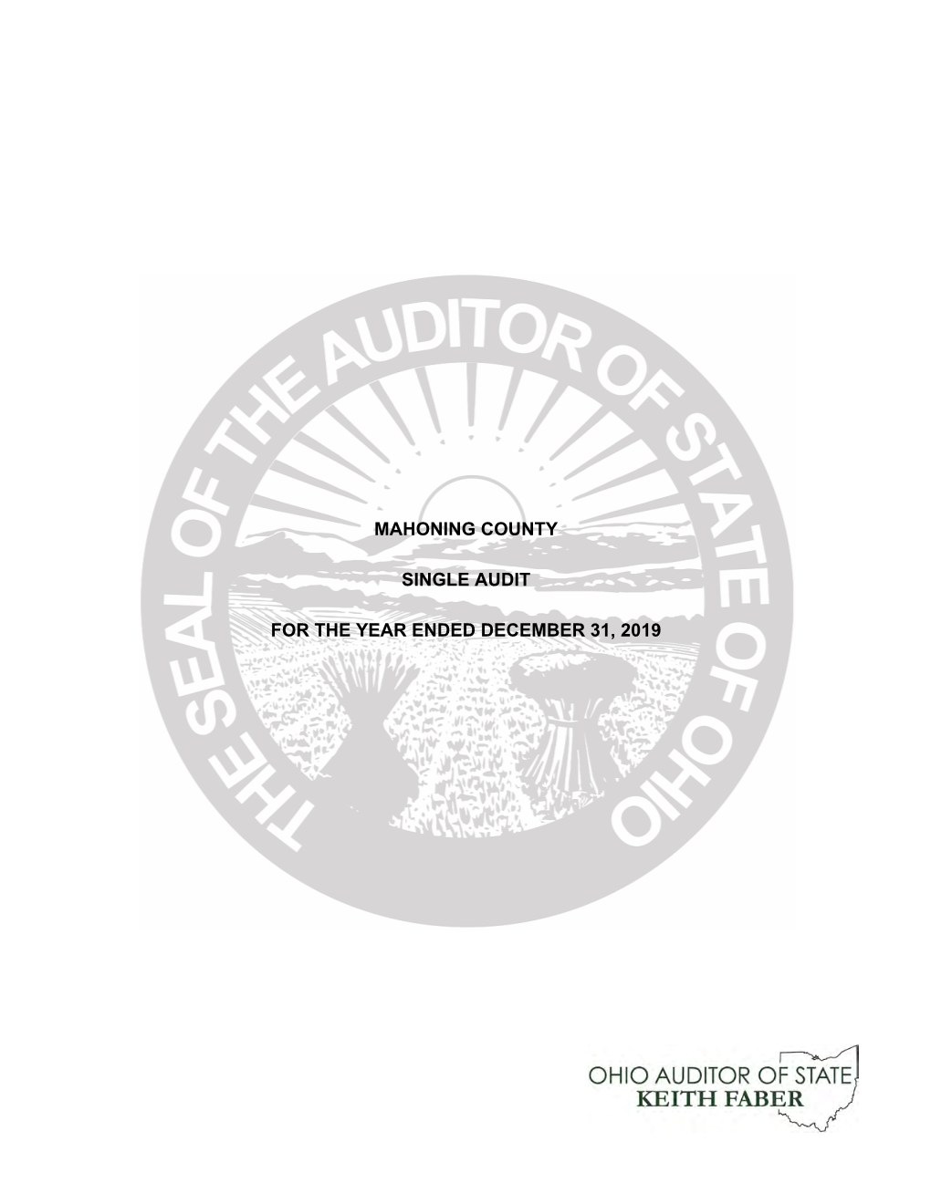 Mahoning County Single Audit for the Year Ended December 31, 2019