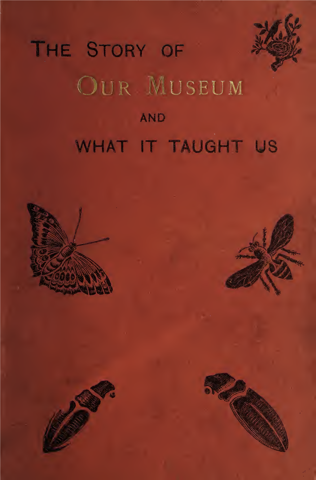 The Story of Our Museum