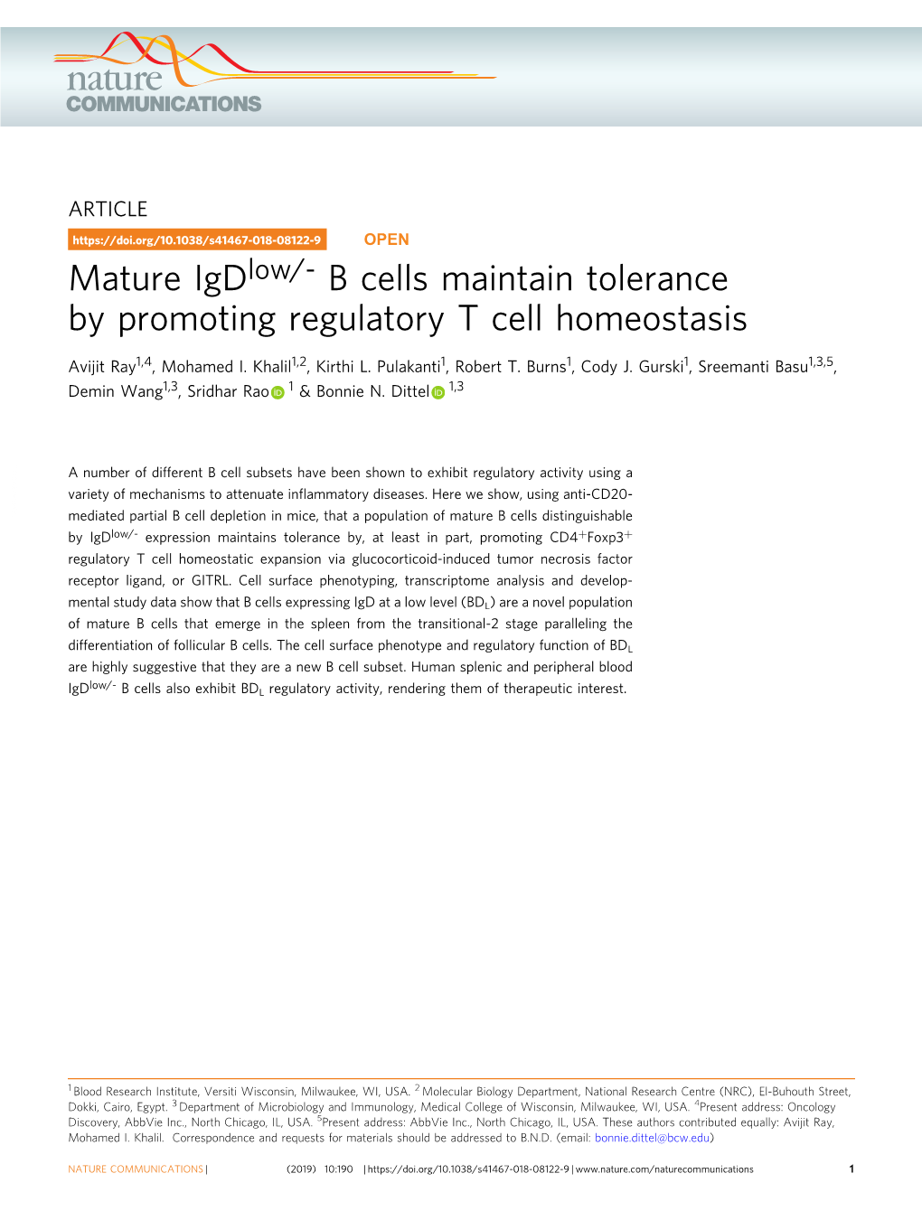 B Cells Maintain Tolerance by Promoting Regulatory T Cell Homeostasis