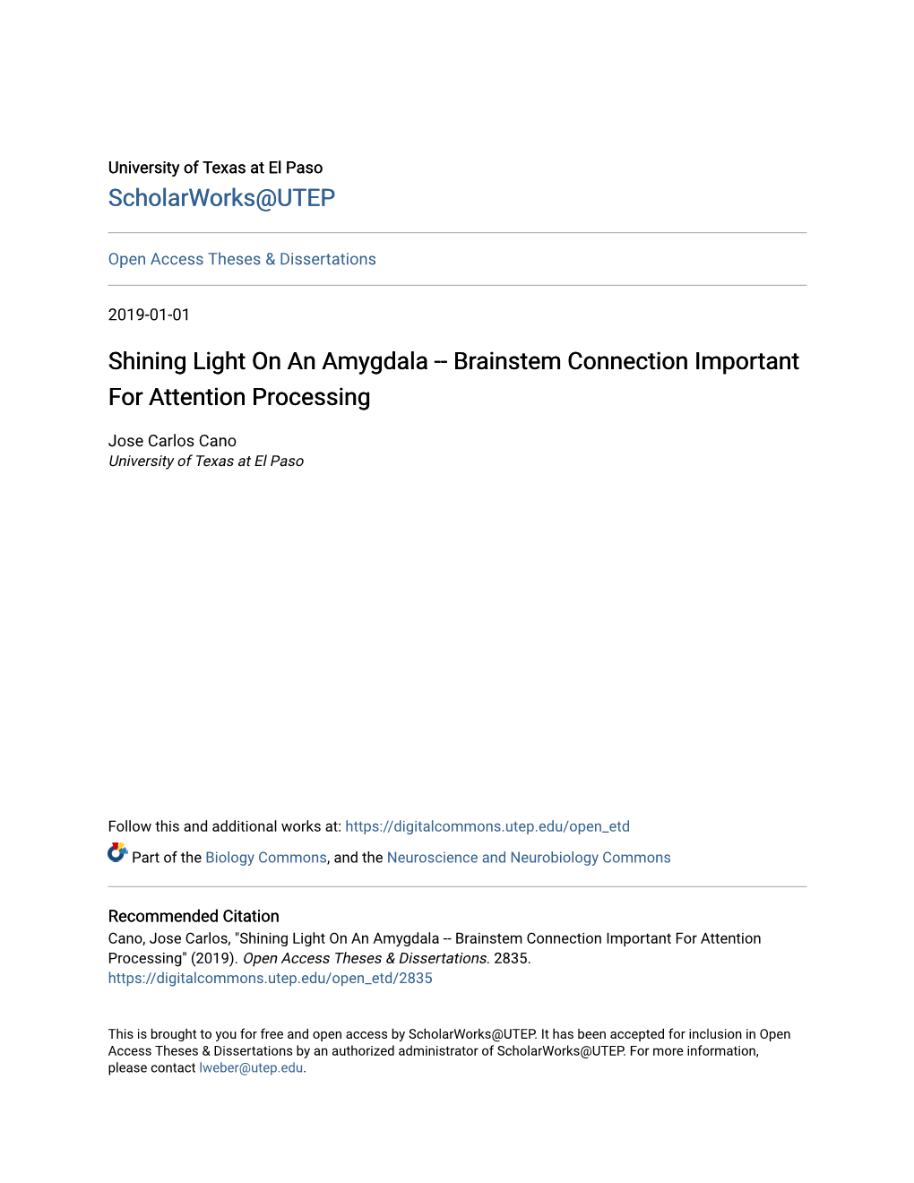 Shining Light on an Amygdala -- Brainstem Connection Important for Attention Processing