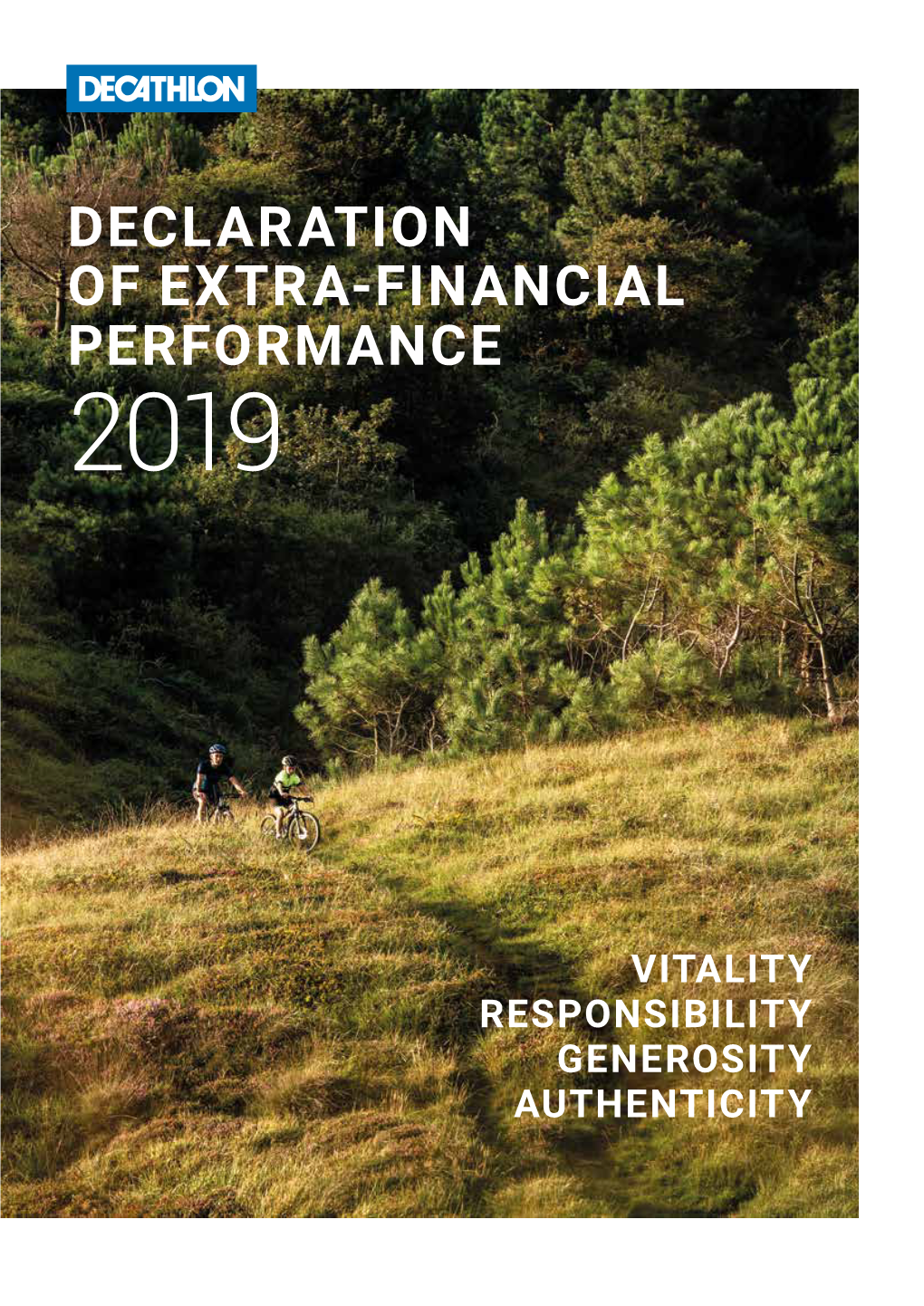 Declaration of Extra-Financial Performance 2019