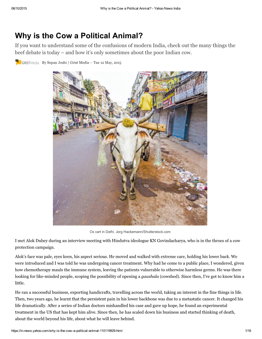 Why Is the Cow a Political Animal? ­ Yahoo News India