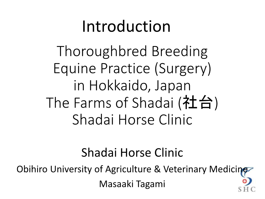 Equine Practice in Japan, Hokkaido the Farms of Shadai (社台)