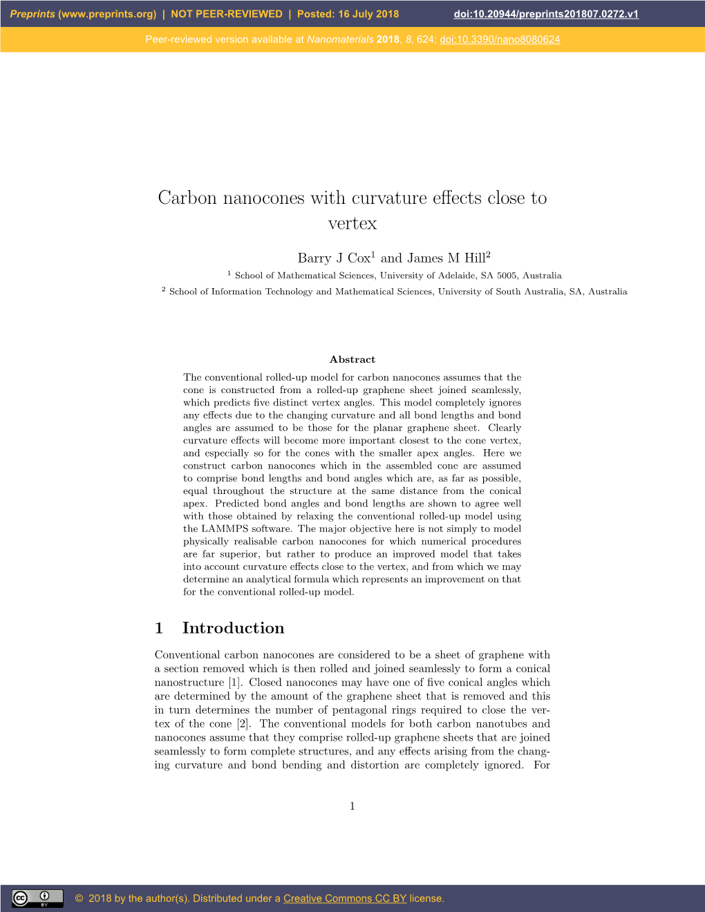 Carbon Nanocones with Curvature Effects Close to Vertex