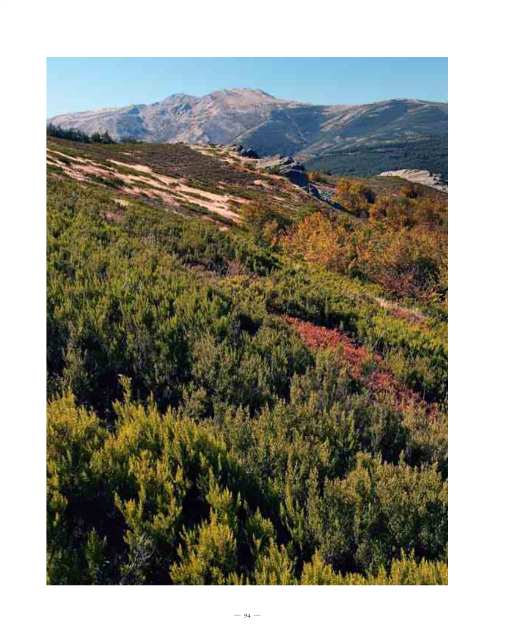 Camino Naturales De España.Indd