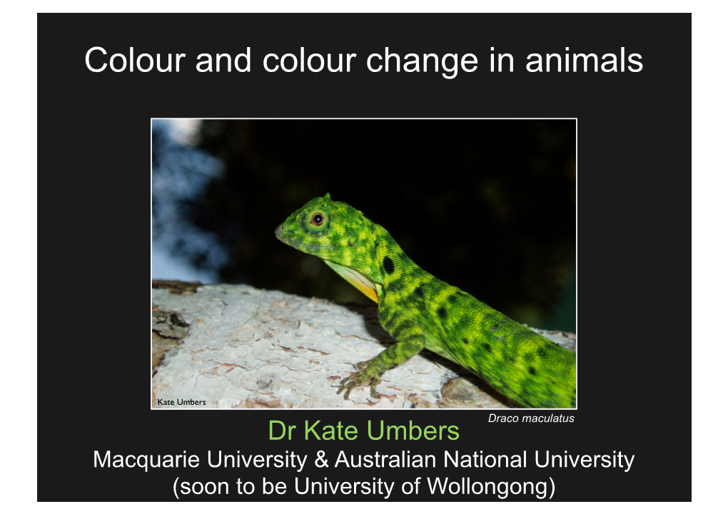 Colour and Colour Change in Animals