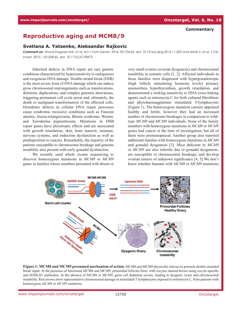 Reproductive Aging and MCM8/9