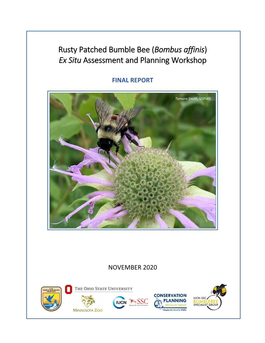 Rusty Patched Bumble Bee (Bombus Affinis) Ex Situ Assessment and Planning Workshop