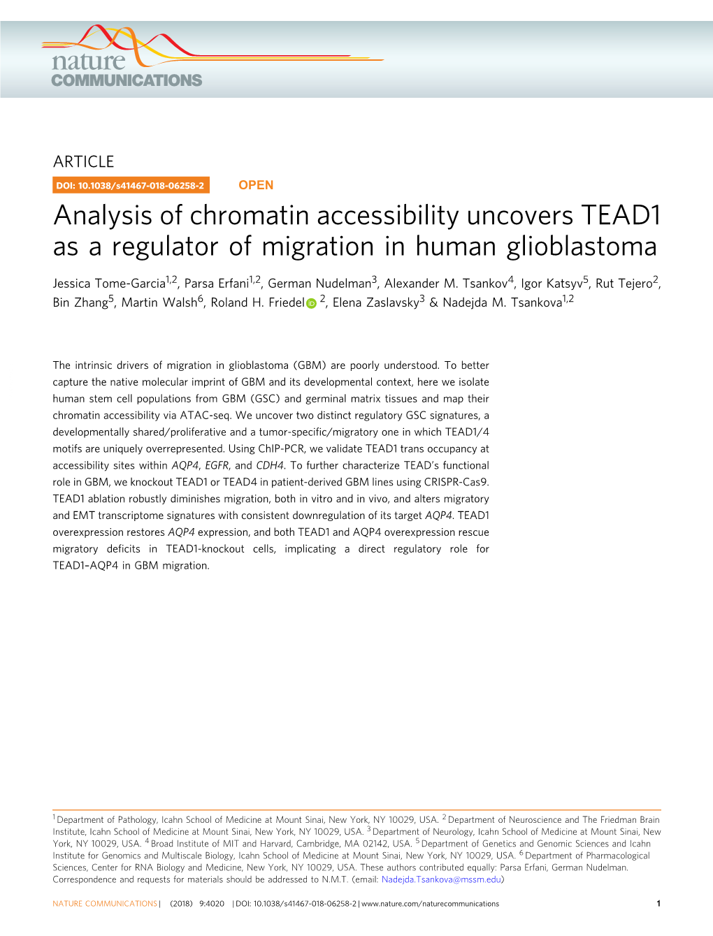 Analysis of Chromatin Accessibility Uncovers TEAD1 As a Regulator of Migration in Human Glioblastoma