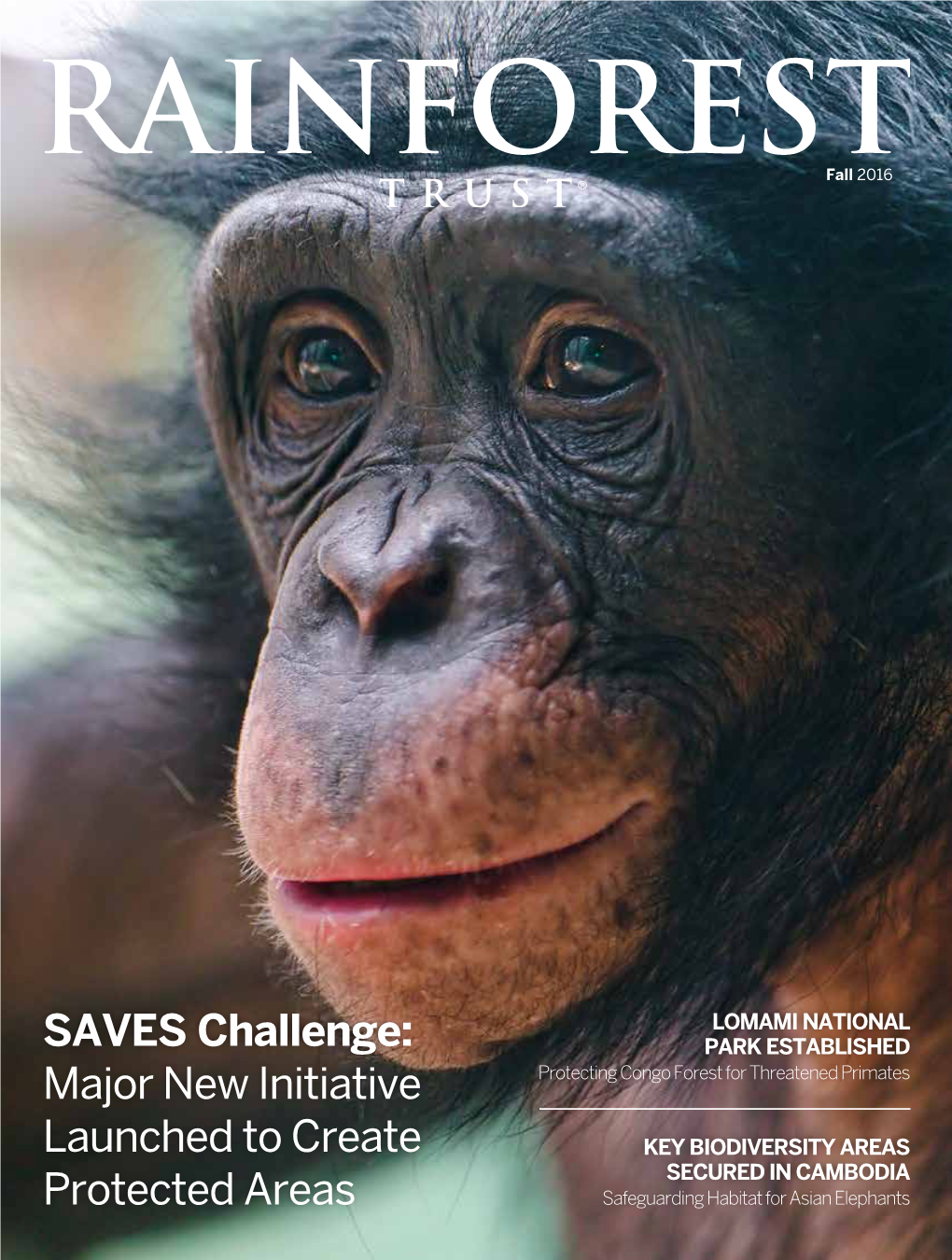 SAVES Challenge: Major New Initiative Launched to Create