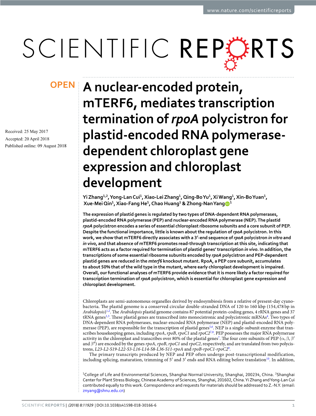 A Nuclear-Encoded Protein, Mterf6, Mediates Transcription Termination