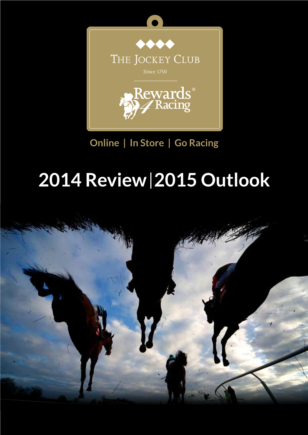 2014 Review 2015 Outlook