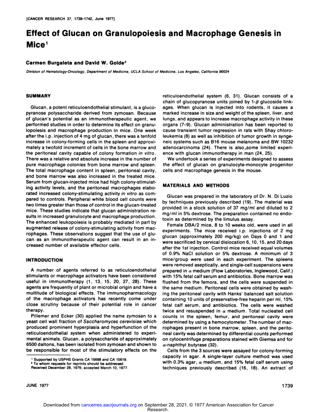 Effect of Glucan on Granulopoiesis and Macrophage Genesis in Mice1