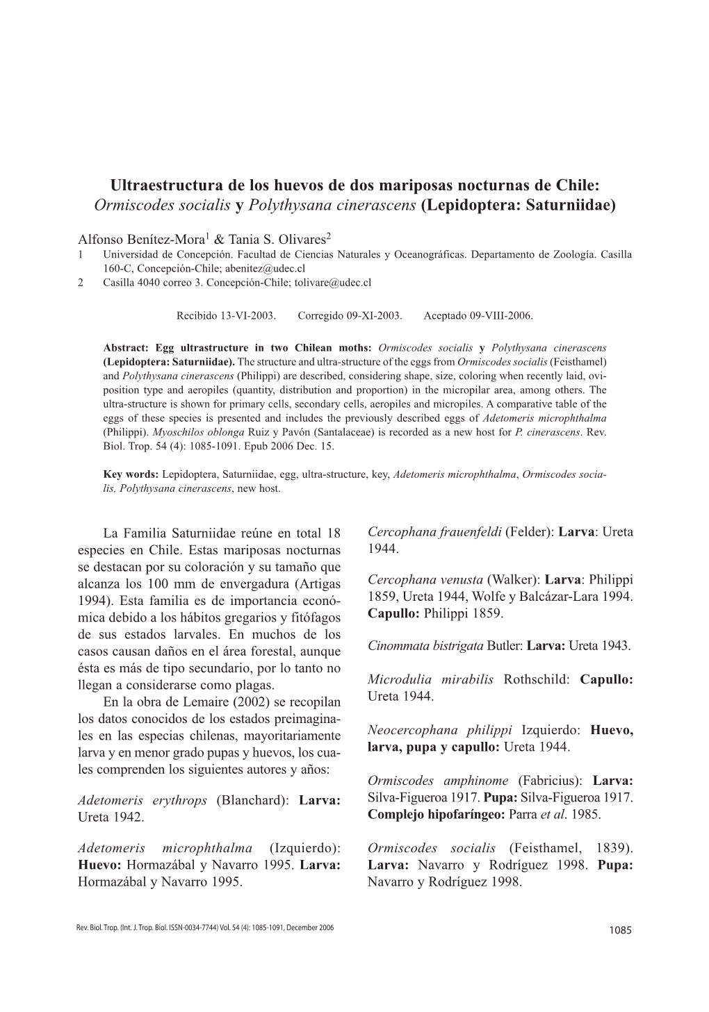 Ormiscodes Socialis Y Polythysana Cinerascens (Lepidoptera: Saturniidae)