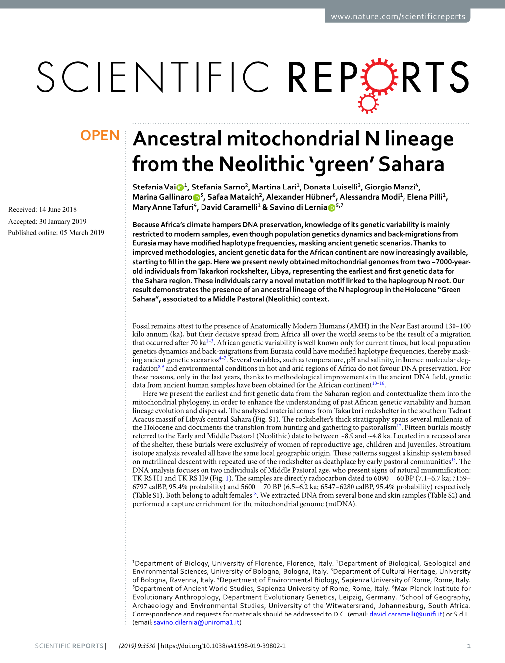 Ancestral Mitochondrial N Lineage from the Neolithic 'Green