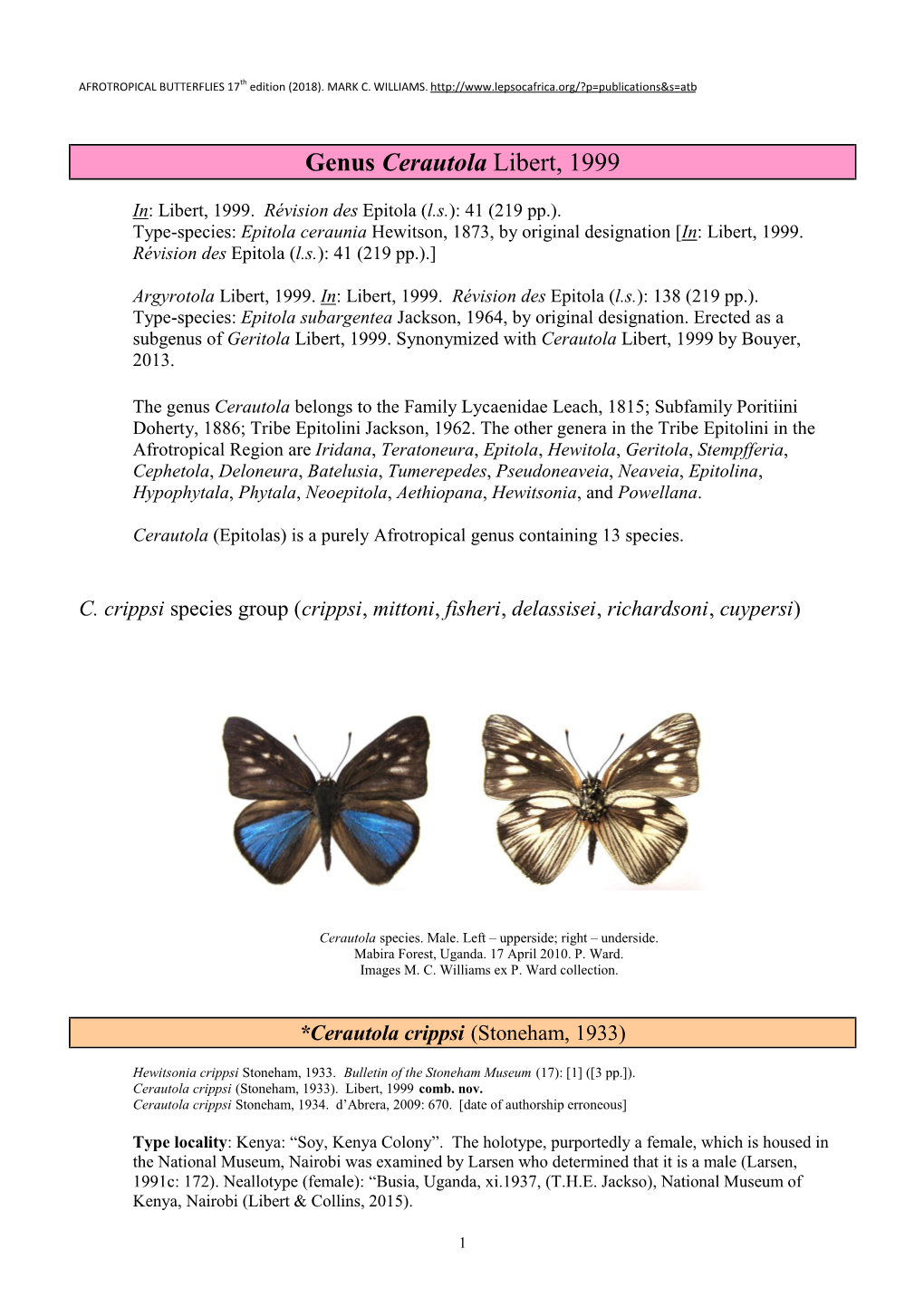 Genus Cerautola Libert, 1999