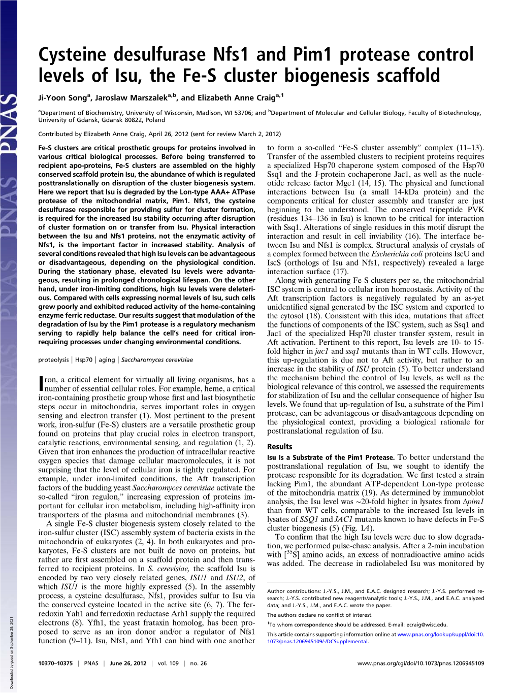 Cysteine Desulfurase Nfs1 and Pim1 Protease Control Levels of Isu, the Fe-S Cluster Biogenesis Scaffold