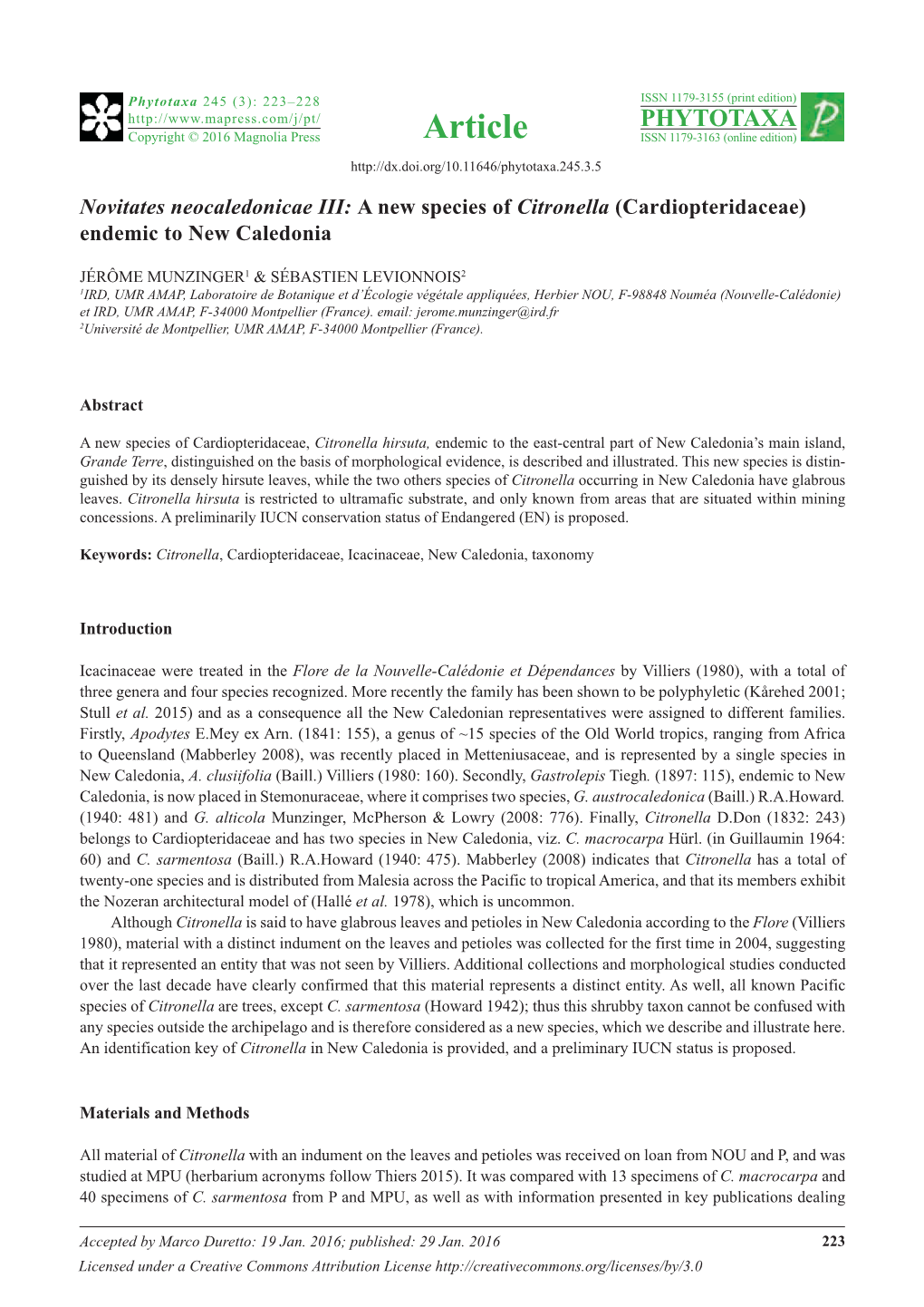 Novitates Neocaledonicae III: a New Species of Citronella (Cardiopteridaceae) Endemic to New Caledonia