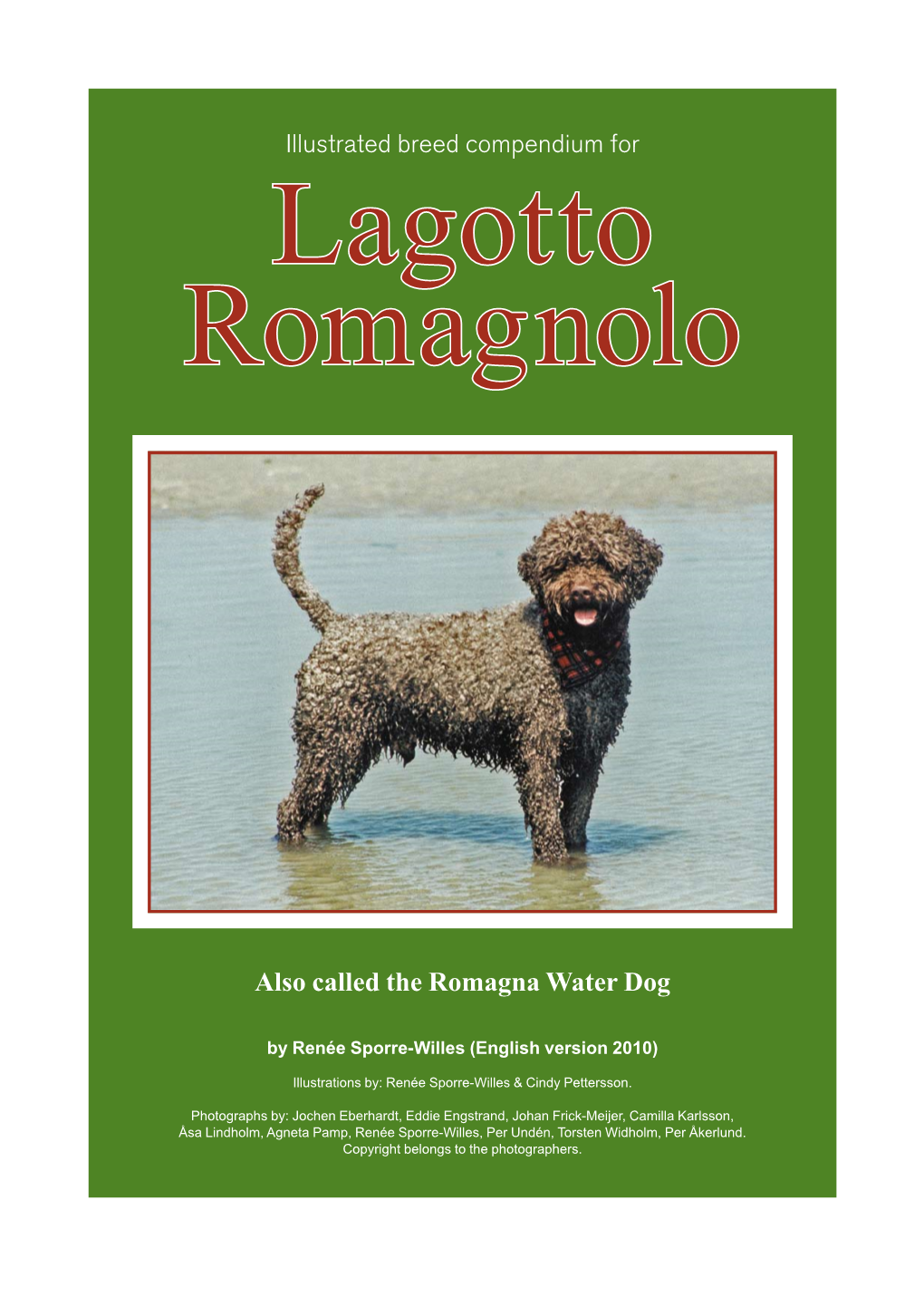 Lagotto Romagnolo