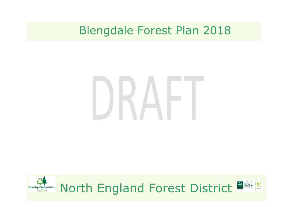 Blangdale Draft Forest Plan 2018