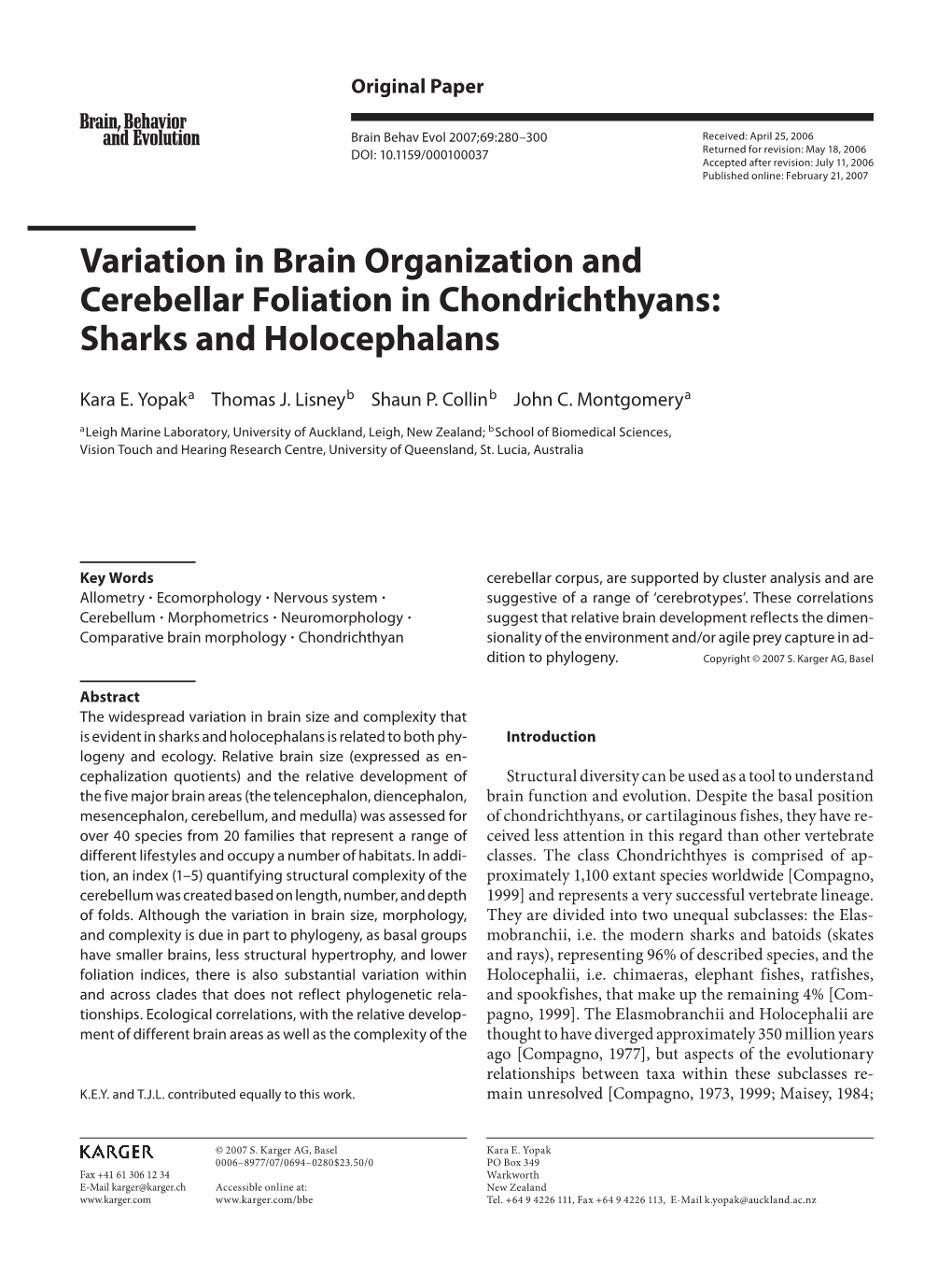 Variation in Brain Organization and Cerebellar Foliation in Chondrichthyans: Sharks and Holocephalans