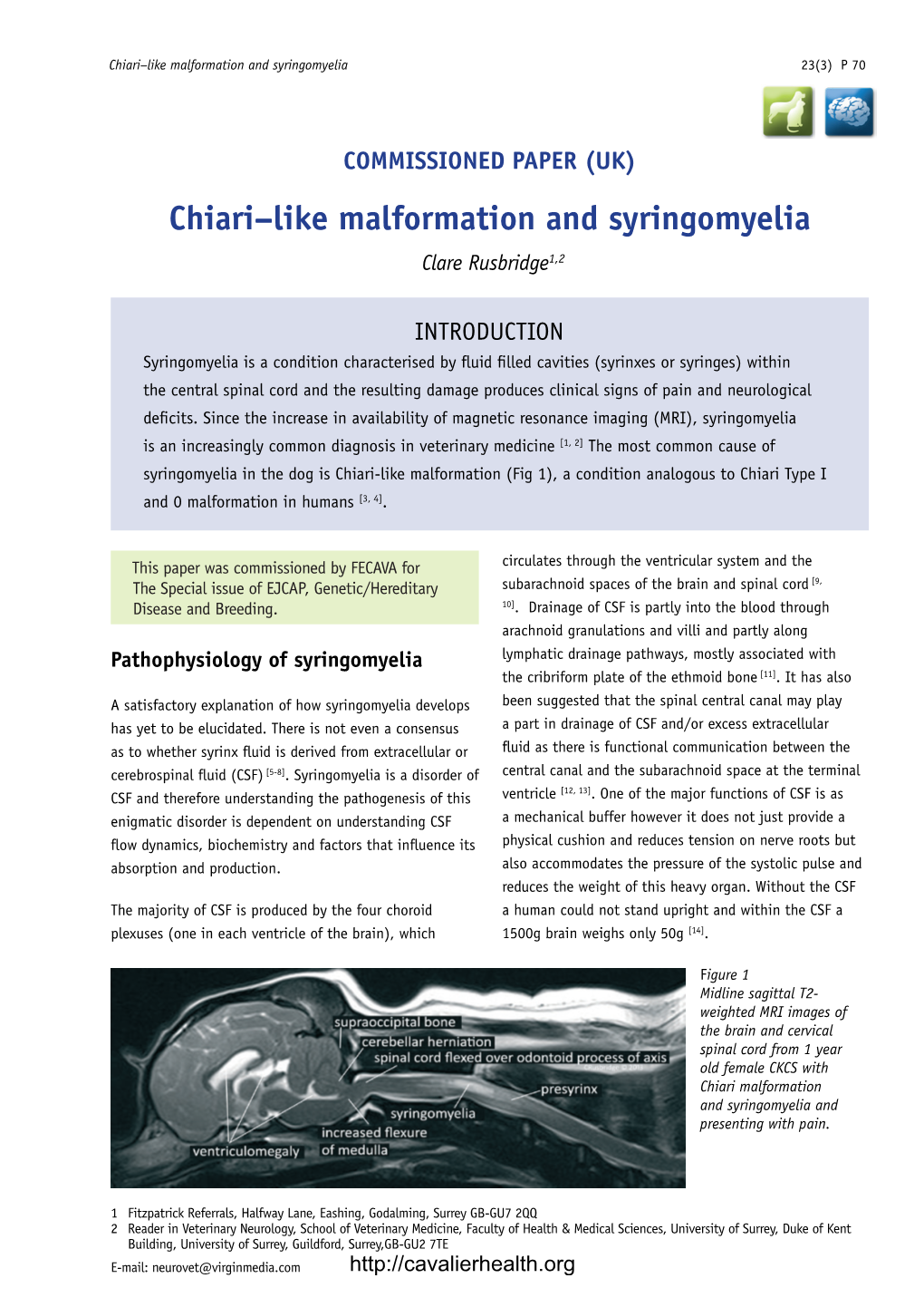 Chiari–Like Malformation and Syringomyelia 23(3) P 70