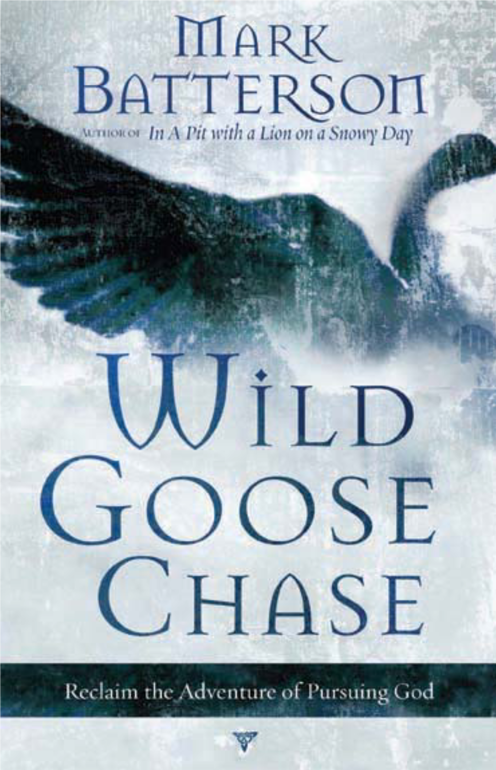 Reclaiming the Adventure of Pursuing God Wild Goose Chase Pages:MASTER.Template5.187X8 6/23/08 4:17 PM Page Iv