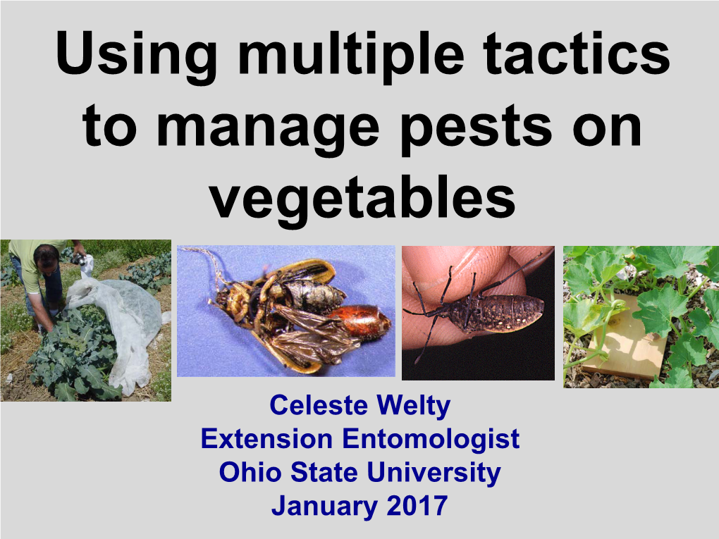 Using Multiple Tactics to Manage Pests on Vegetables