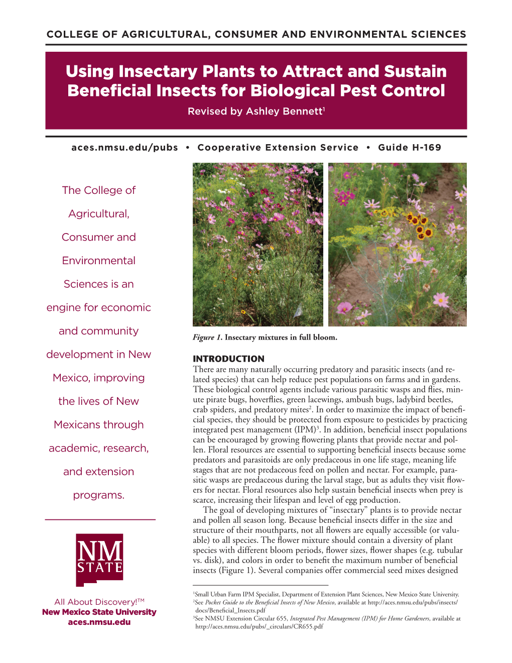 Using Insectary Plants to Attract and Sustain Beneficial Insects for Biological Pest Control