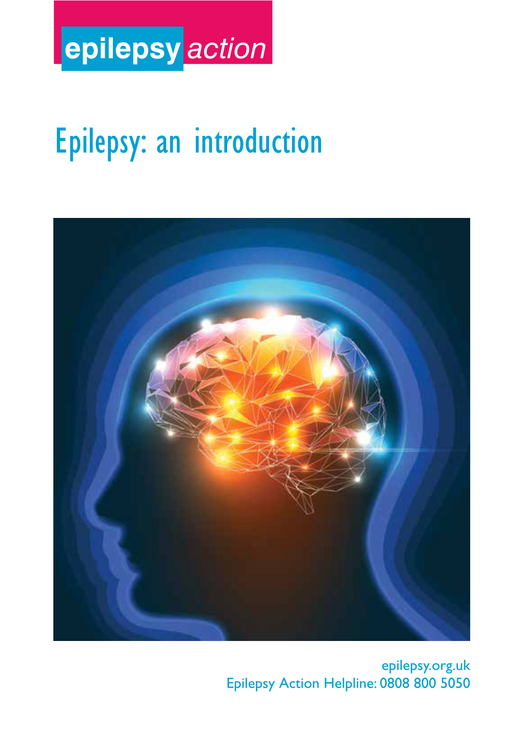 Epilepsy: an Introduction