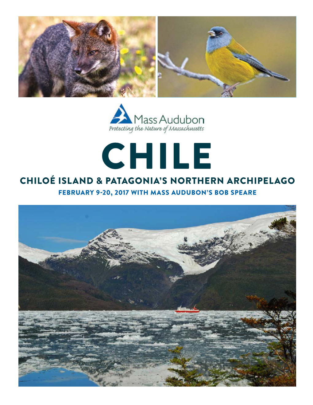 Chiloé Island & Patagonia's Northern Archipelago