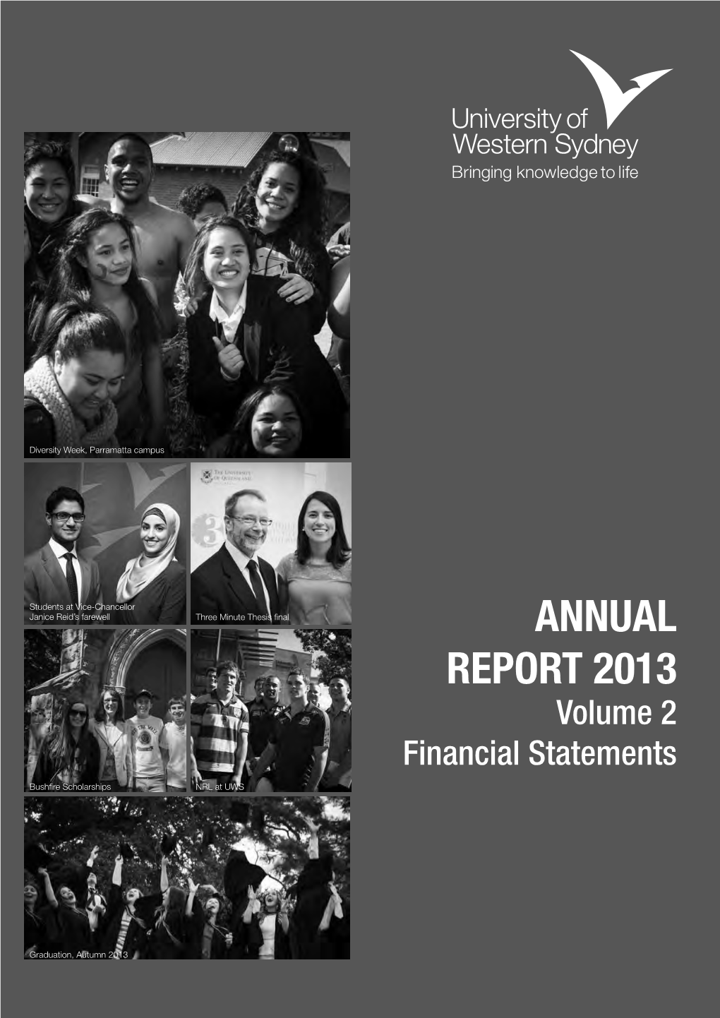 Annual Report 2013 Volume 2 Financial Statements