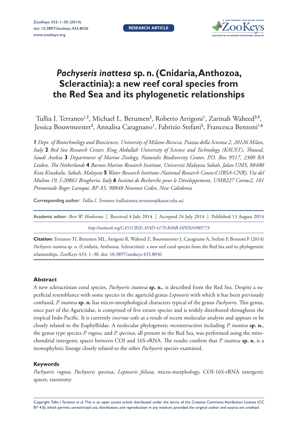 Pachyseris Inattesa Sp. N. (Cnidaria, Anthozoa, Scleractinia): a New Reef Coral Species from the Red Sea and Its Phylogenetic Relationships