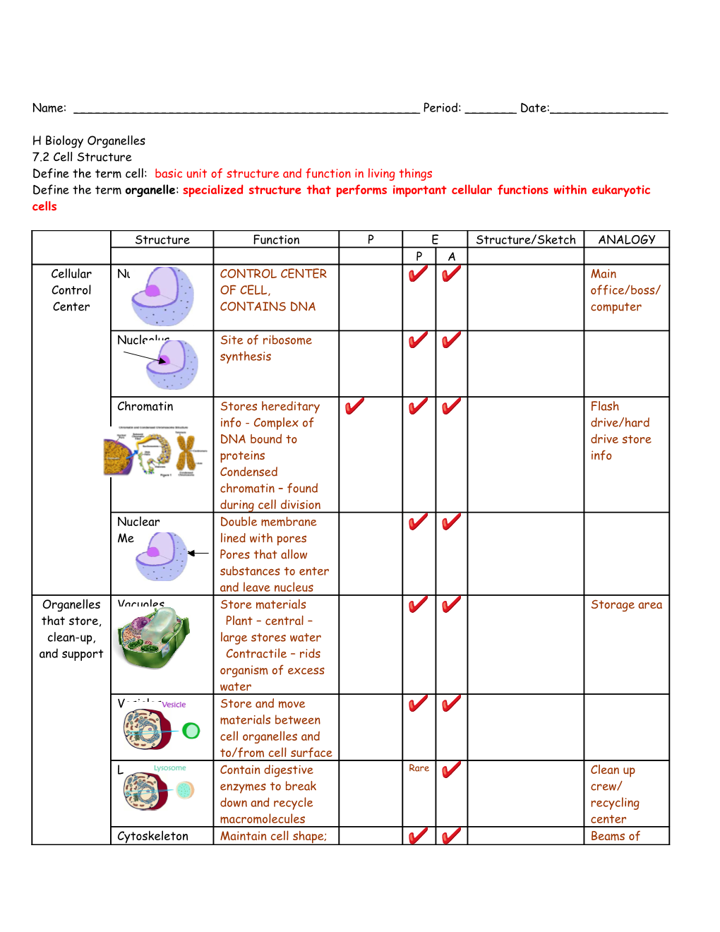 Define the Term Cell: Basic Unit of Structure and Function in Living Things