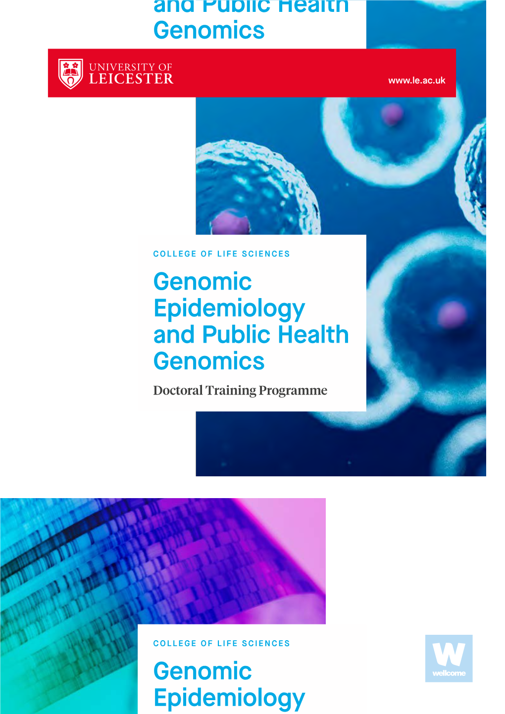 Genomic Epidemiology and Public Health Genomics Doctoral Training Programme