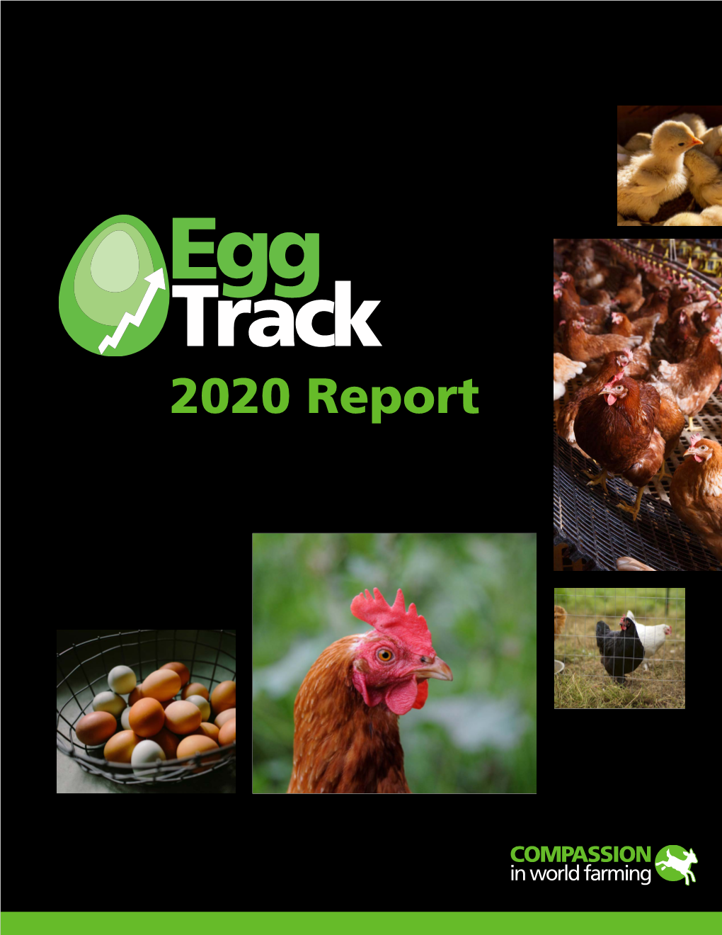 Egg-Laying Hens 2020 Eggtrack Report Read More