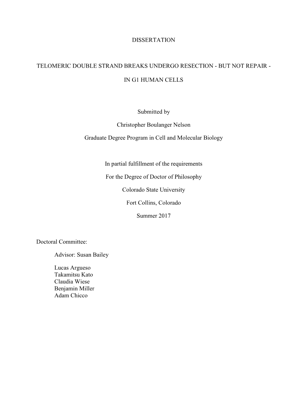 Dissertation Telomeric Double Strand Breaks