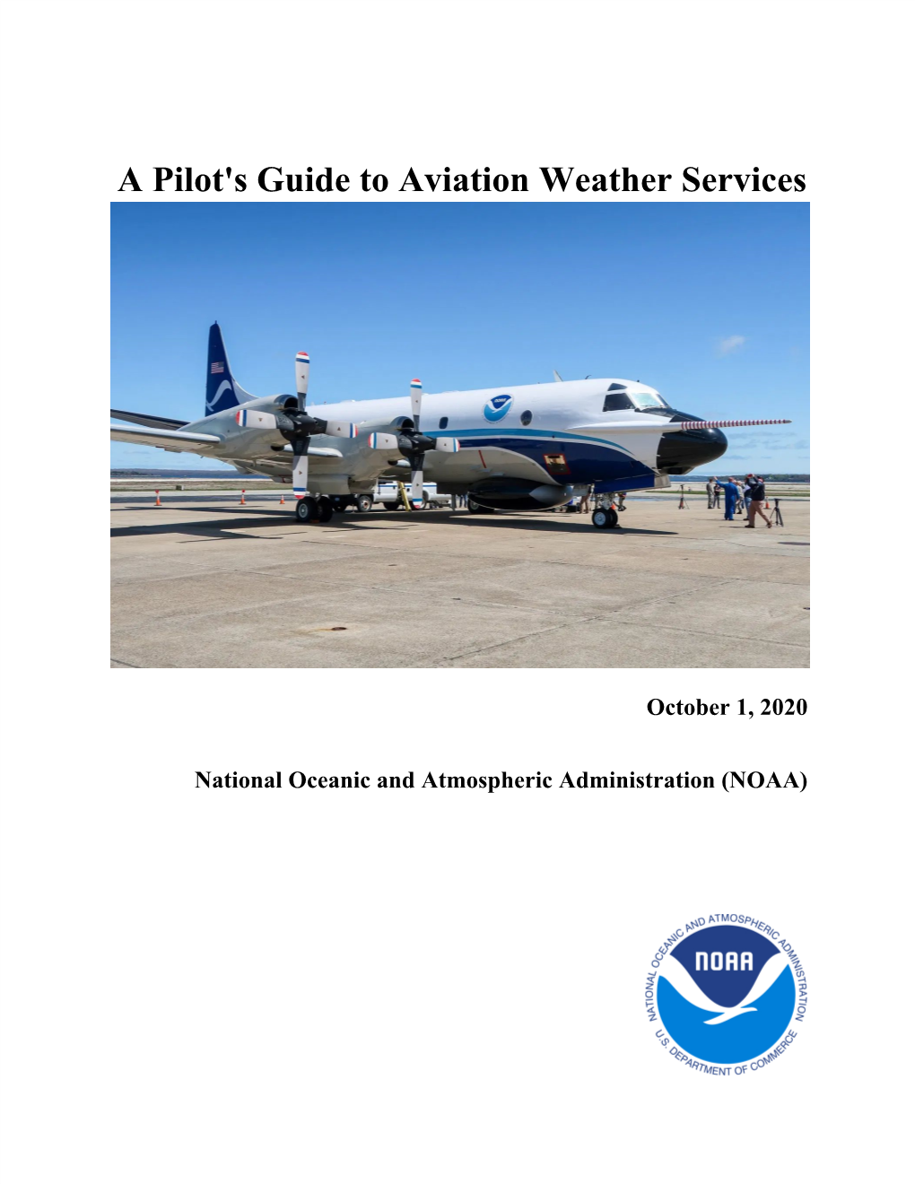 A Pilot's Guide to Aviation Weather Services