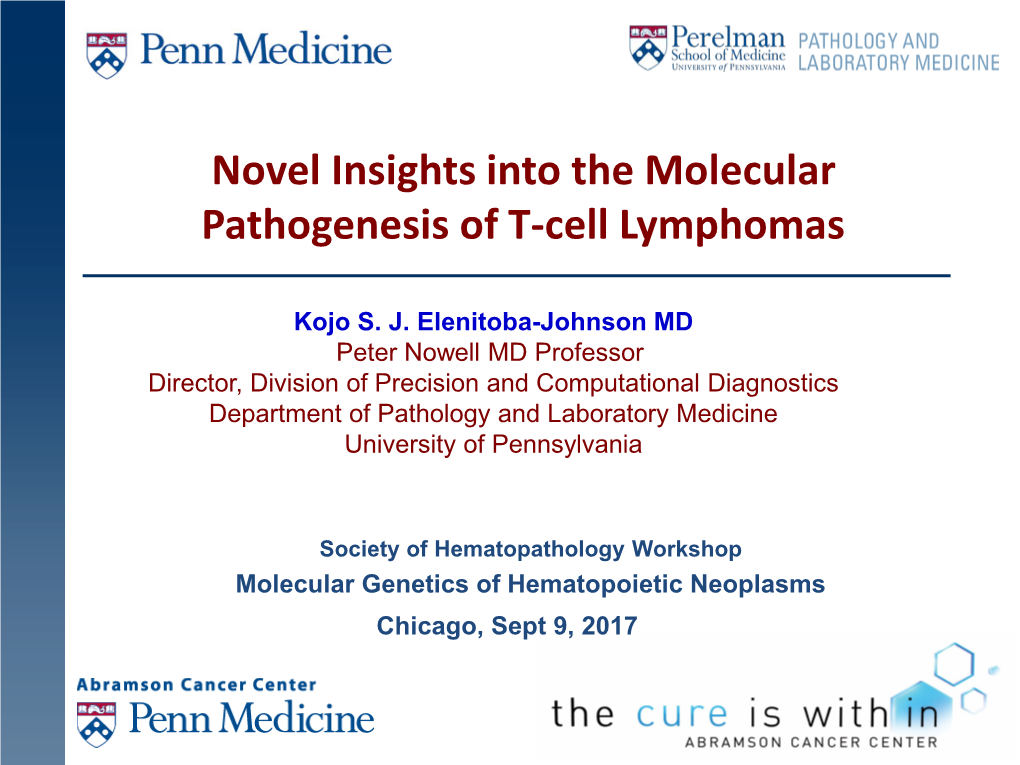 Novel Insights Into the Molecular Pathogenesis of T-Cell Lymphomas