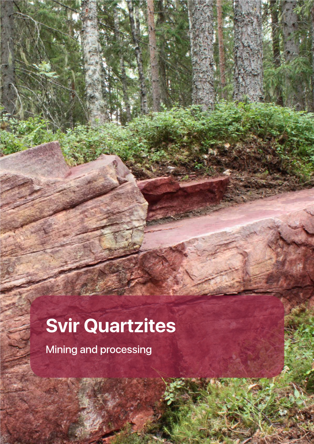 Svir Quartzites Mining and Processing SVIR QUARTZITES JSC Manufacturing Company for the Mining and Processing of Crimson Quartzite