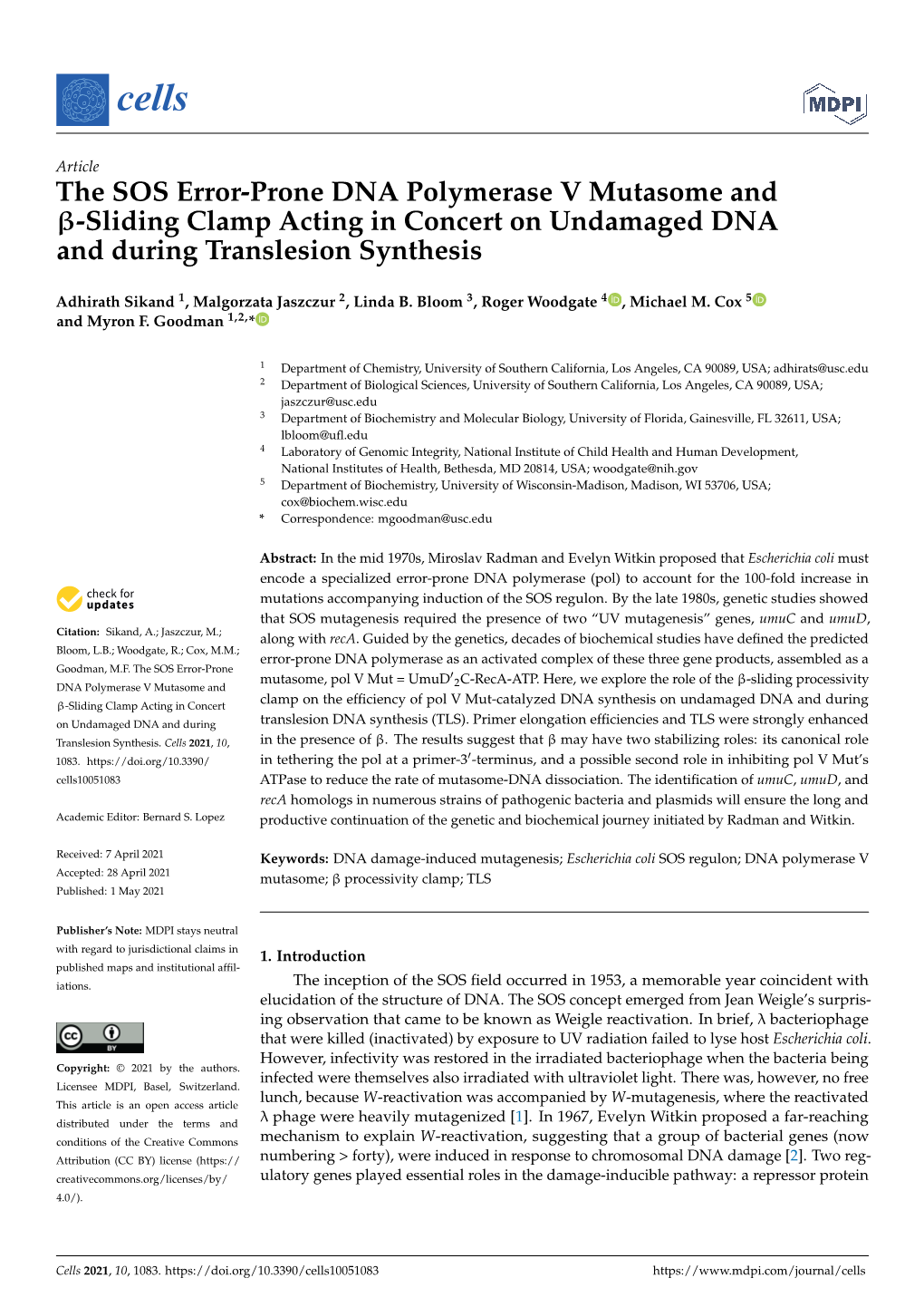 The SOS Error-Prone DNA Polymerase V Mutasome and Β-Sliding Clamp Acting in Concert on Undamaged DNA and During Translesion Synthesis