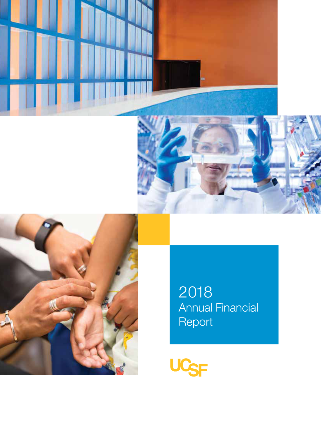 2018 Annual Financial Report Living Our Values Health Equity and Social Justice