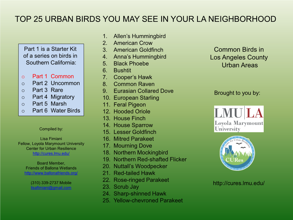 Top 25 Urban Birds You May See in Your La Neighborhood