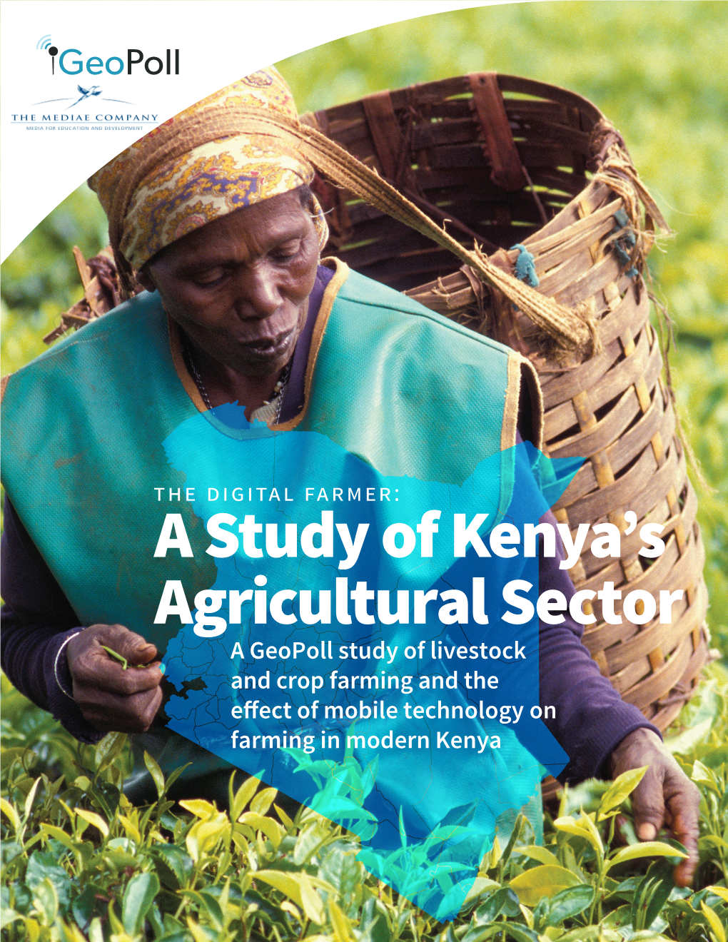 A Study of Kenya's Agricultural Sector