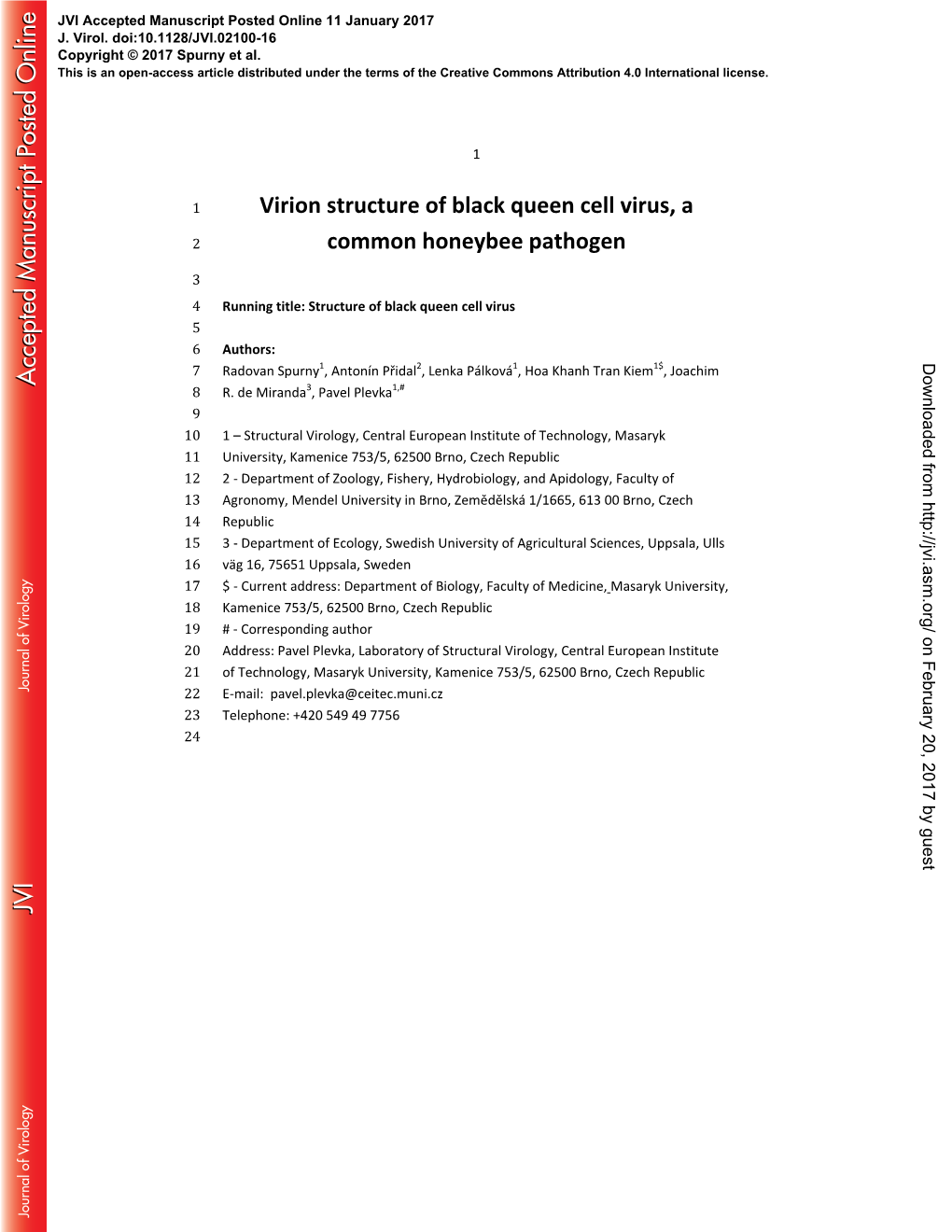 Virion Structure of Black Queen Cell Virus, a Common Honeybee Pathogen