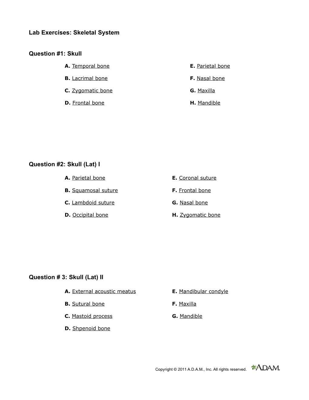 Skeletal System