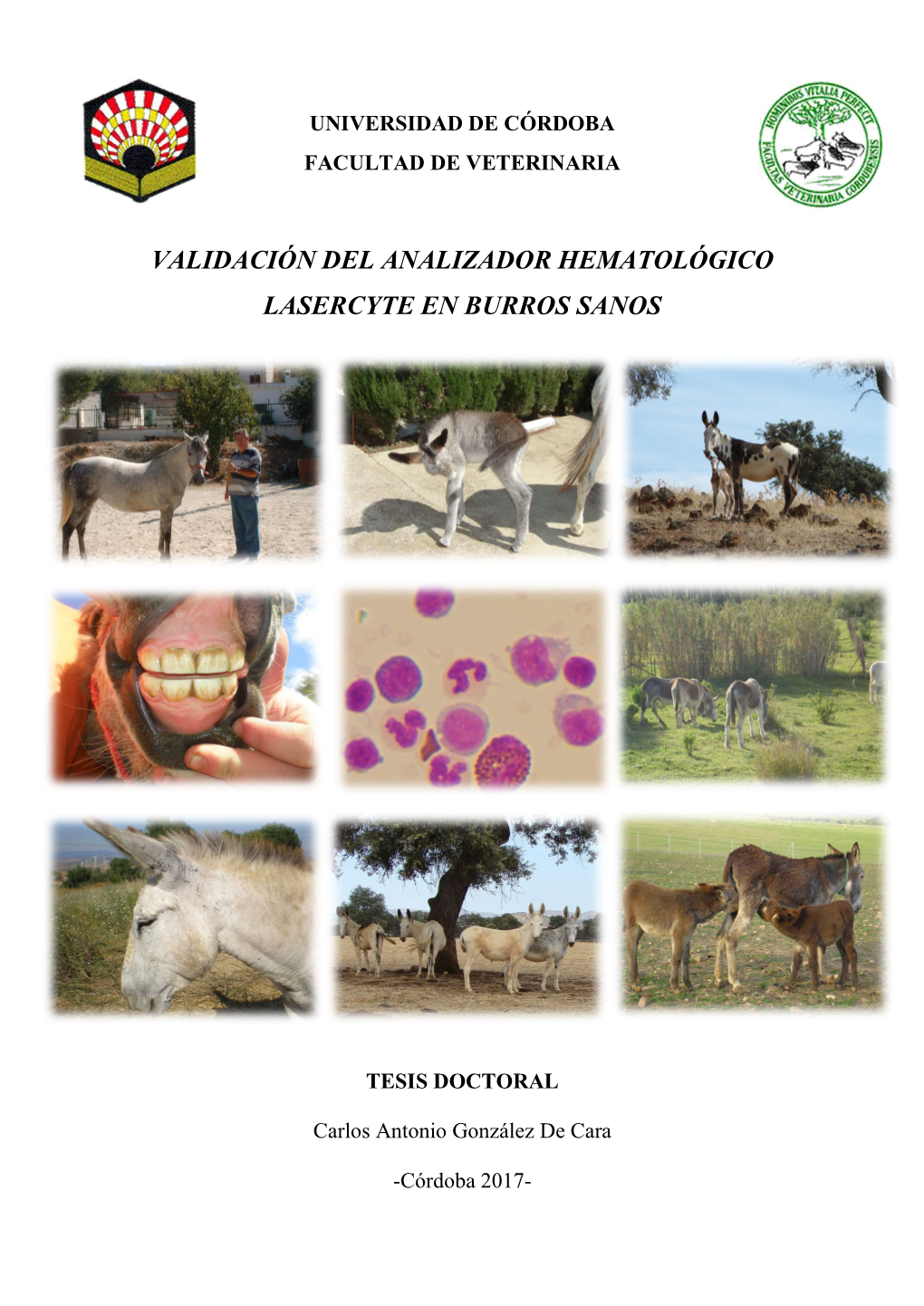 Validación Del Analizador Hematológico Lasercyte En Burros Sanos