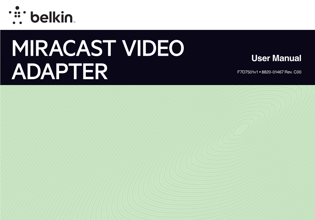Miracast Video Adapter’S Interfaces