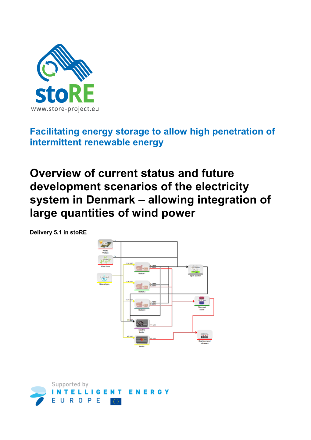 Energy Storage Needs in Denmark