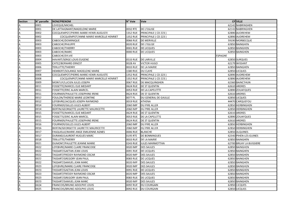 Liste Parcelles Propriã©Taires Bainghen.Xlsx